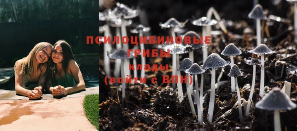 бошки Осташков