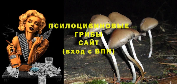 скорость Нязепетровск