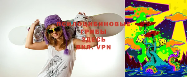 ALPHA-PVP Осинники